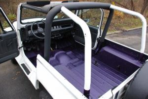 Purple bed liner